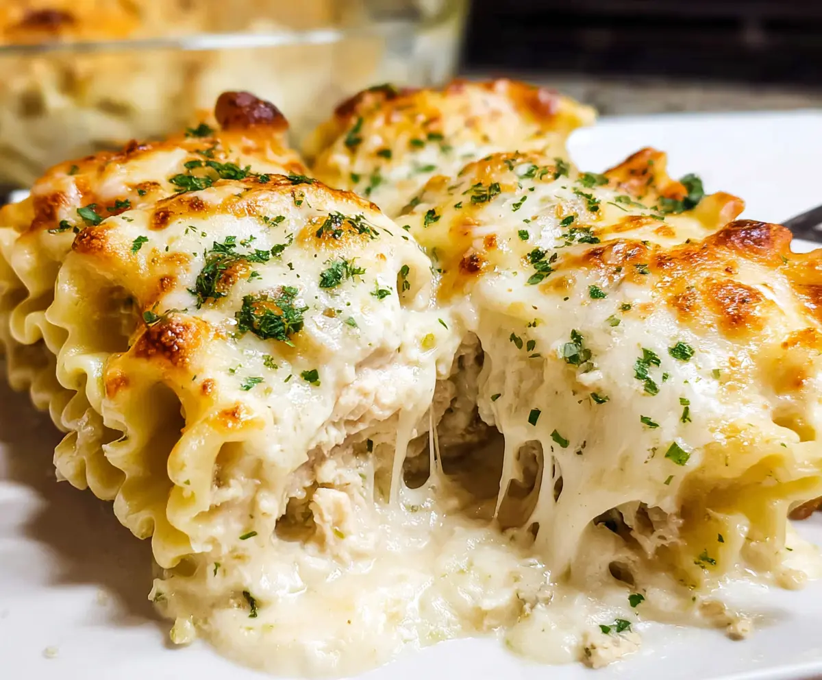 Delicious Chicken Alfredo Lasagna Rolls with creamy sauce and melted cheese